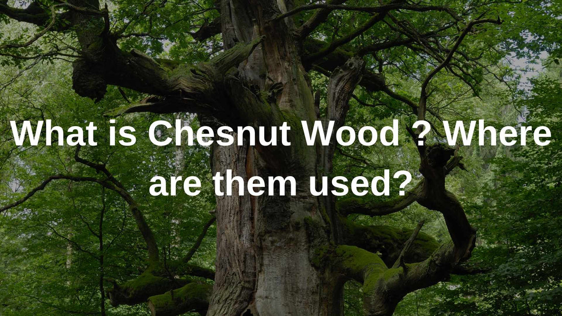 What is Chesnut Wood ? Where are them used?