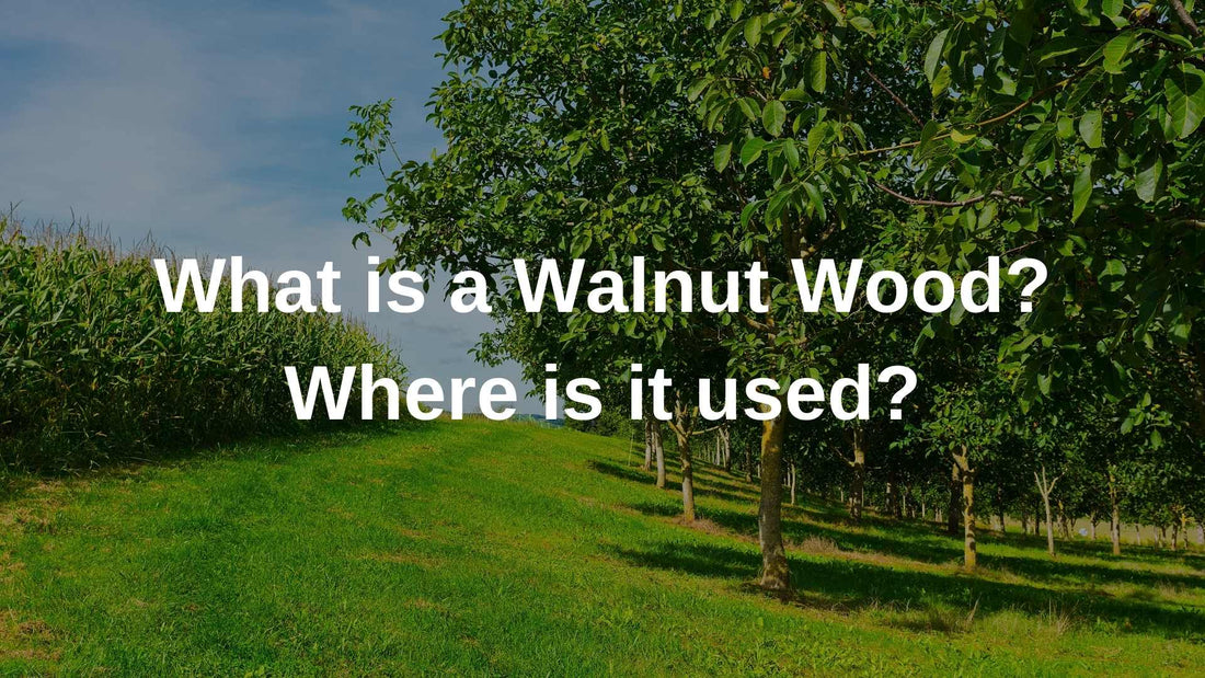 What is a Walnut Wood? Where is it used?